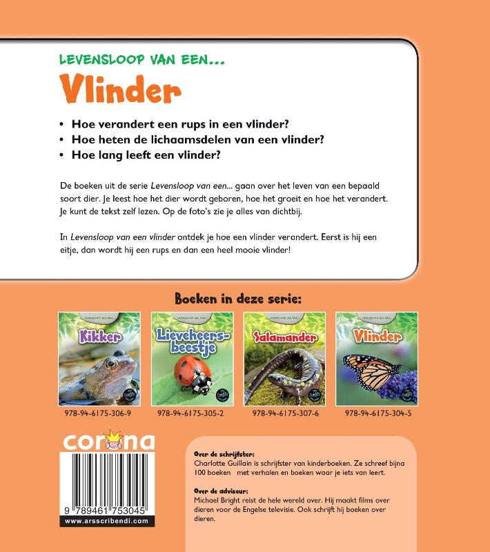 Achterkant van Vlinder