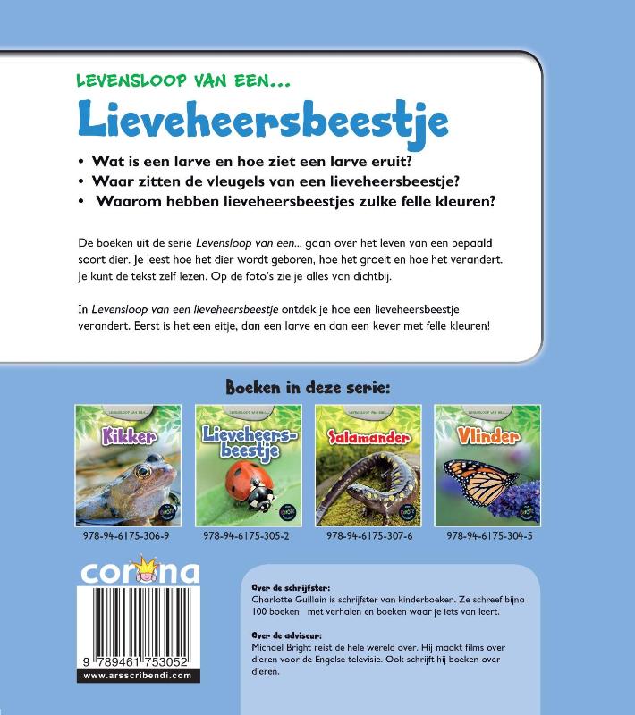 Achterkant van Lieveheersbeestje