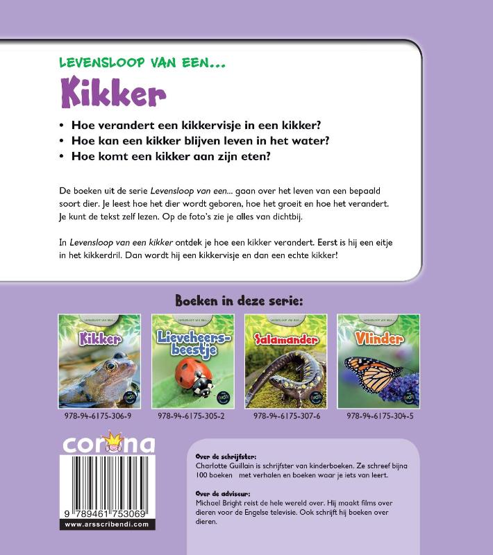 Achterkant van Kikker