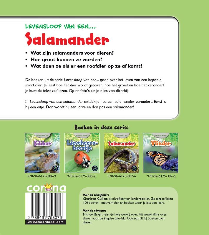Achterkant van Salamander