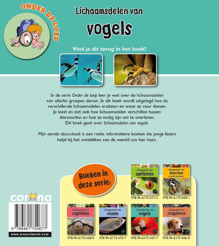 Achterkant van Lichaamsdelen van vogels