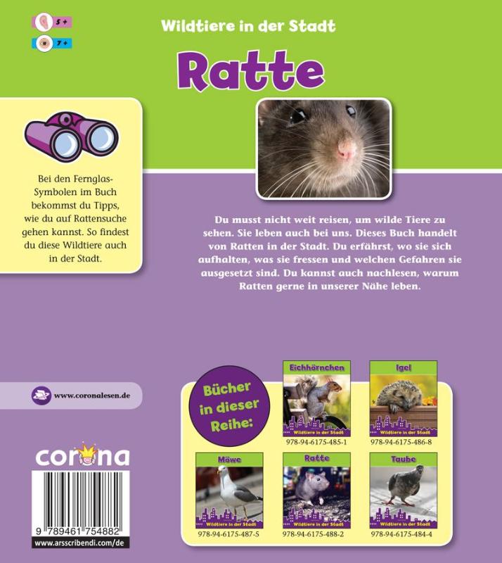 Achterkant van Ratte