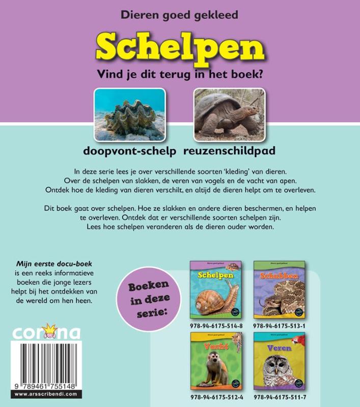 Achterkant van Schelpen