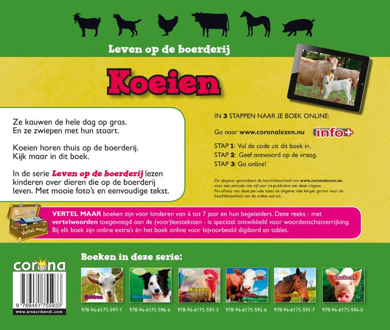 Achterkant van Koeien