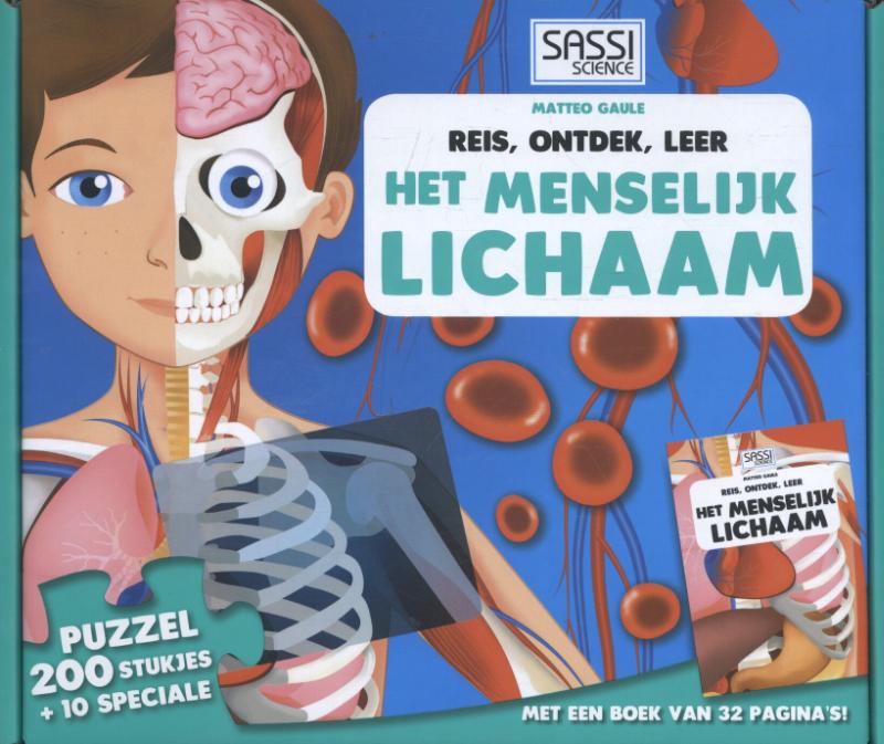 Achterkant van Het menselijke lichaam