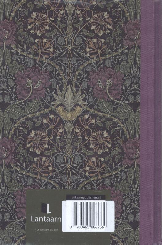 Achterkant van Morris 1 (set 3 ex.)