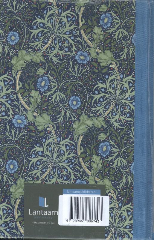 Achterkant van Morris 2 (set 3 ex.)