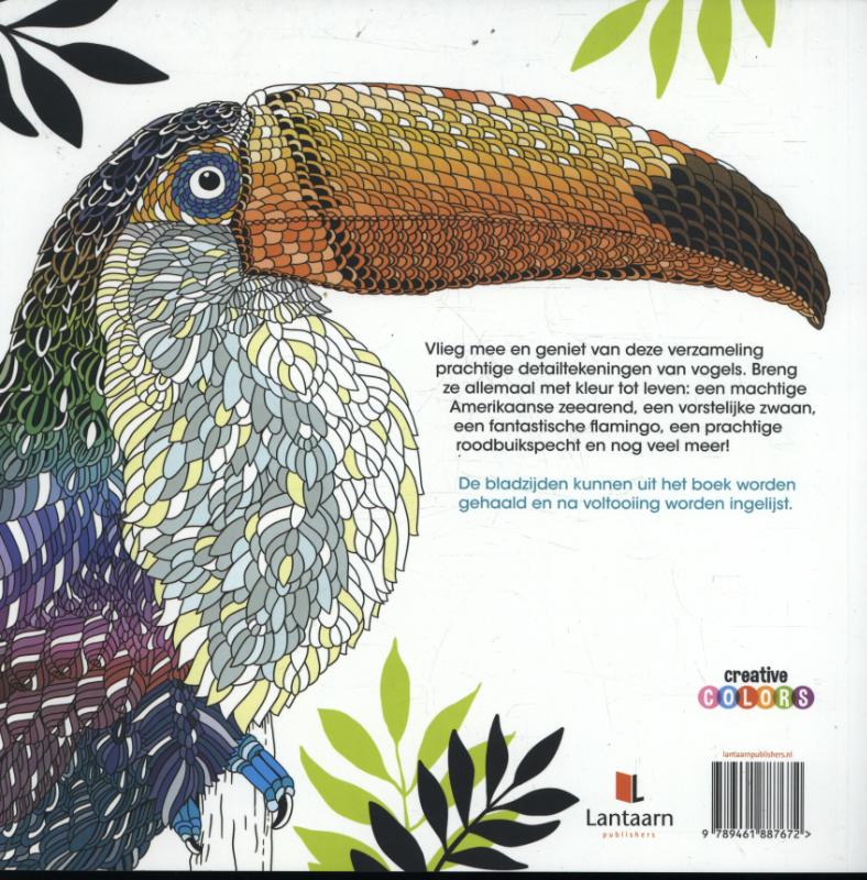 Achterkant van Vogelrijk