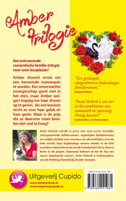 Achterkant van Amber trilogie