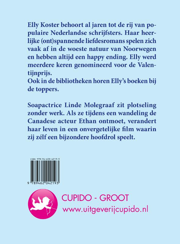 Achterkant van De kleur van liefde