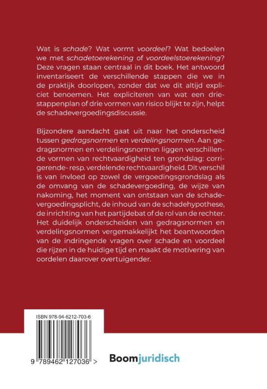 Achterkant van Schade en risico