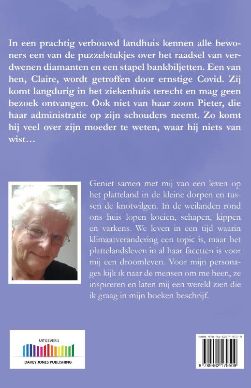 Achterkant van Huis Het Erf