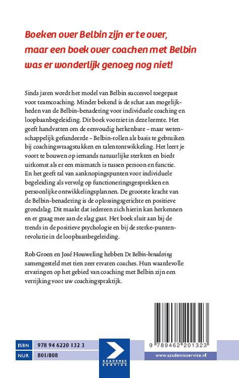 Achterkant van De Belbin-benadering