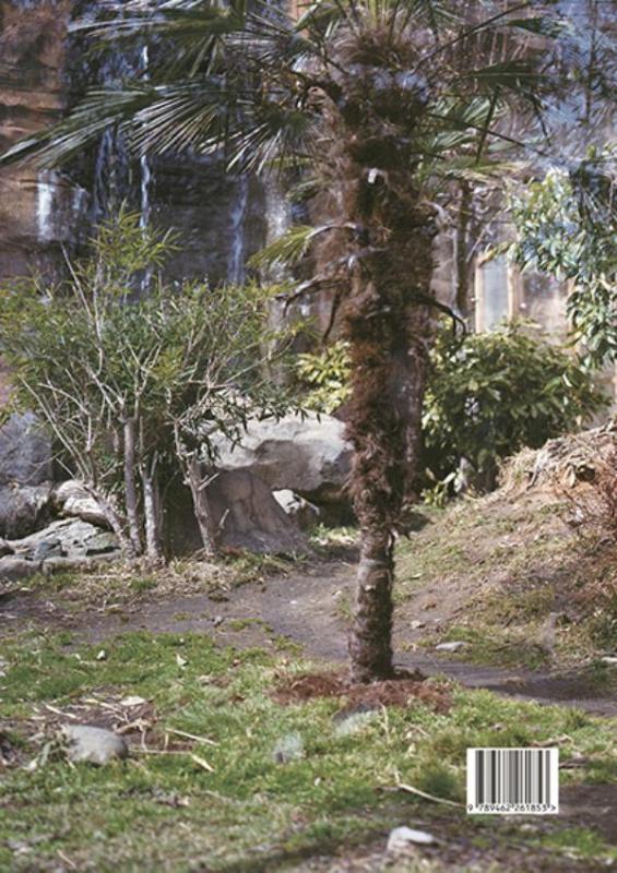 Achterkant van Tiger 2