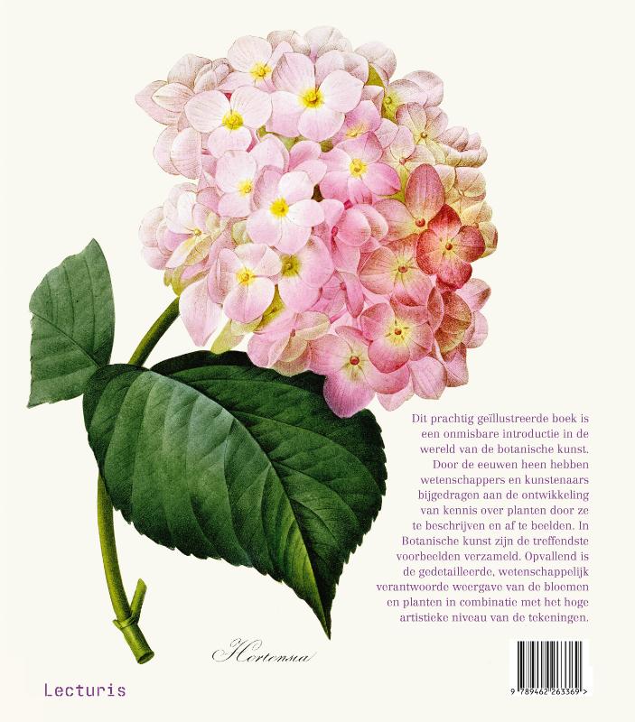 Achterkant van Botanische kunst