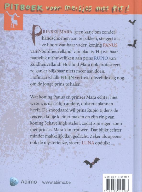 Achterkant van Meisjes met pit