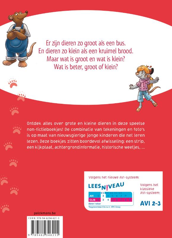 Achterkant van Groot of klein?