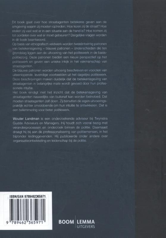 Achterkant van Blauwe patronen