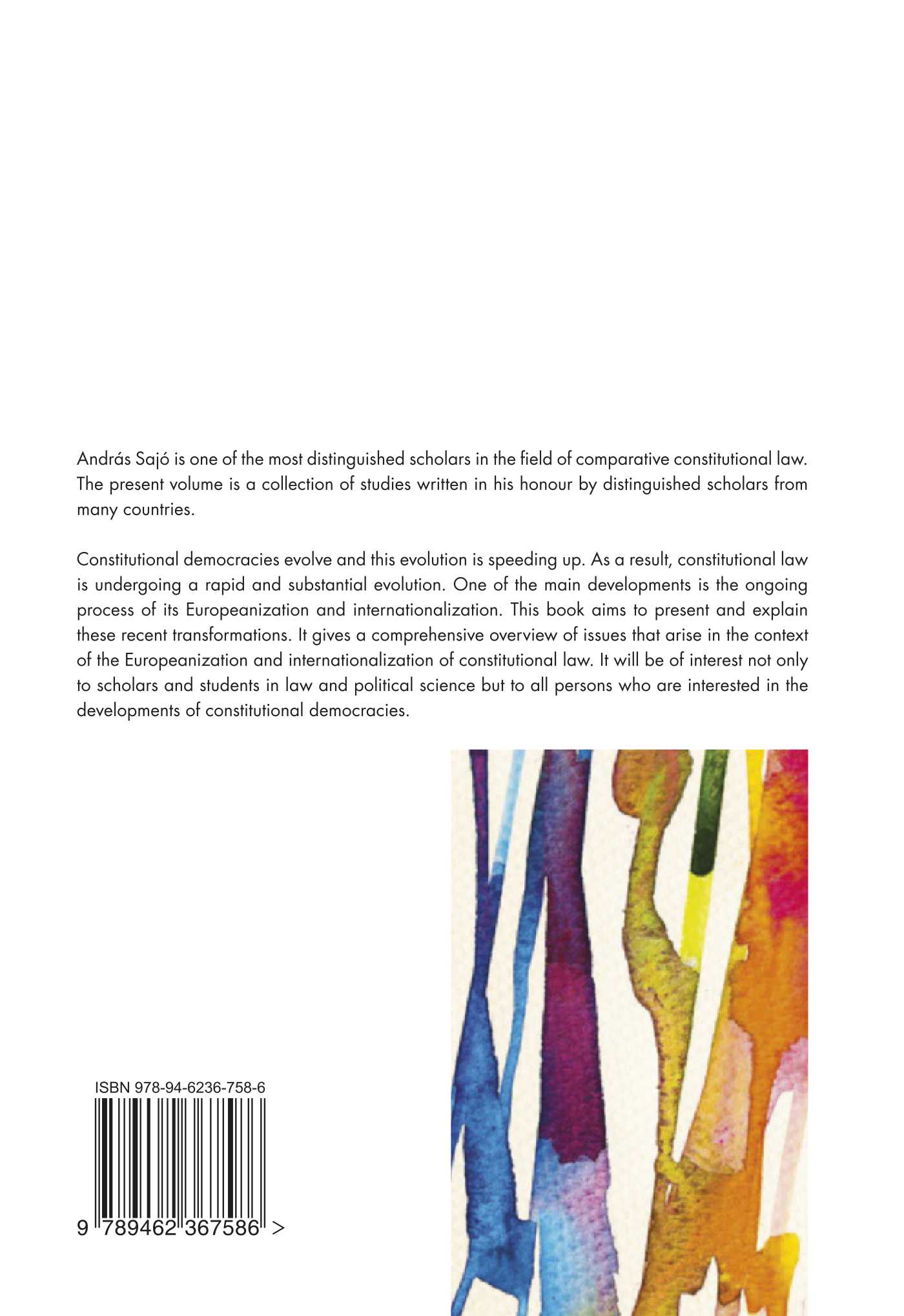 Achterkant van New Developments in Constitutional Law