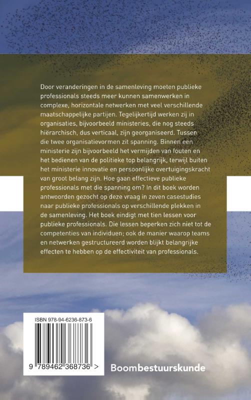 Achterkant van Publieke professionals