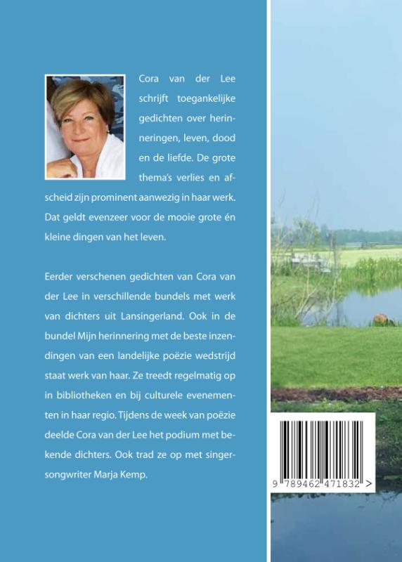 Achterkant van Zilverglas