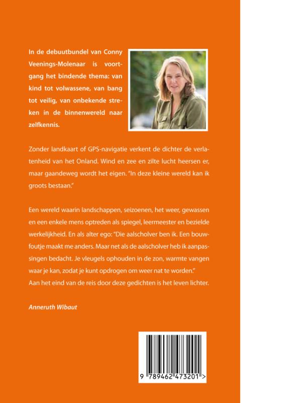 Achterkant van Aalscholver in het Onland