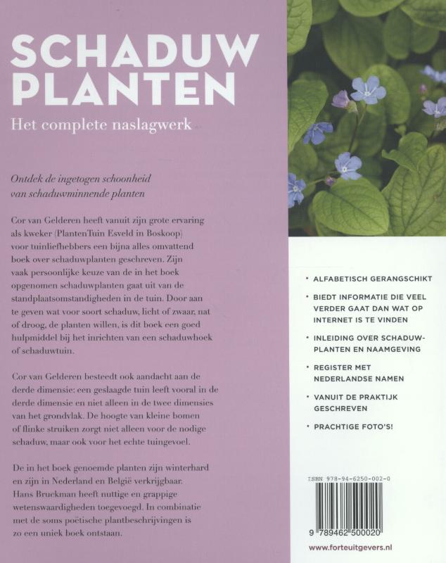 Achterkant van Schaduwplanten