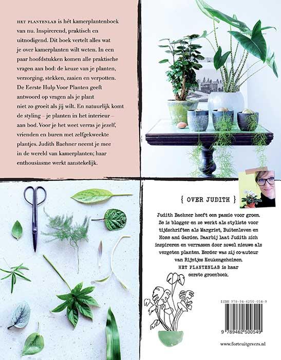 Achterkant van het plantenlab