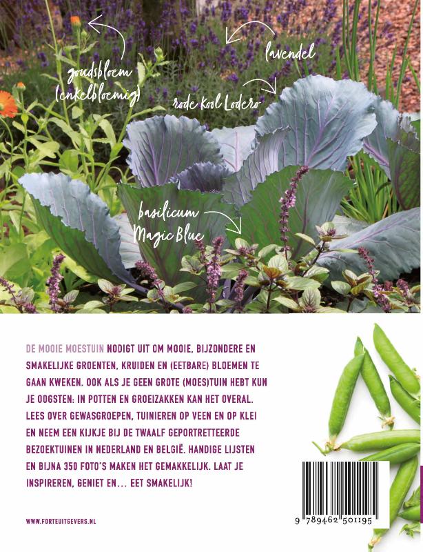 Achterkant van De mooie moestuin
