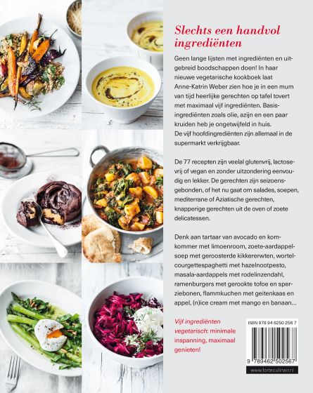 Achterkant van Vijf ingrediënten vegetarisch
