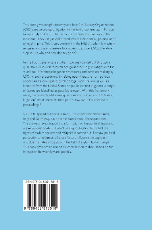 Achterkant van The ‘Strategy’ in Strategic Litigation