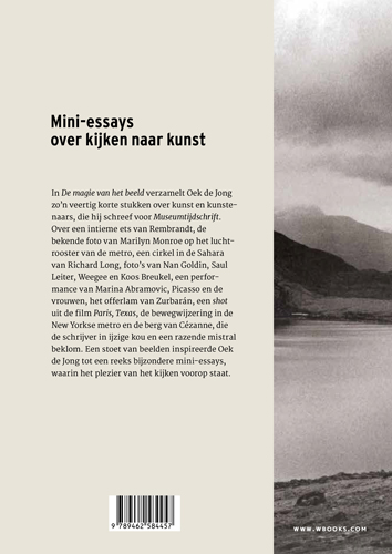 Achterkant van De magie van het beeld