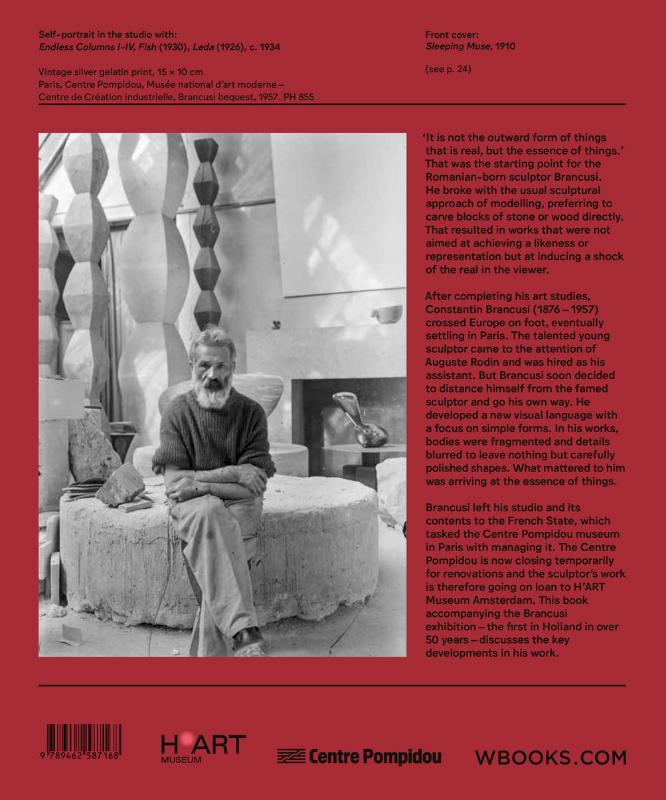 Achterkant van Brancusi (Engels)