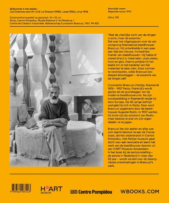 Achterkant van Brancusi
