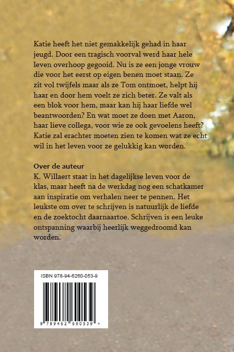 Achterkant van Alle obstakels overwonnen