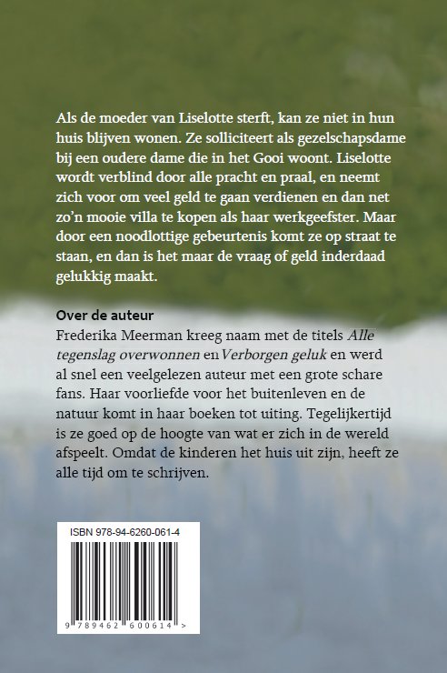 Achterkant van Méér dan geld