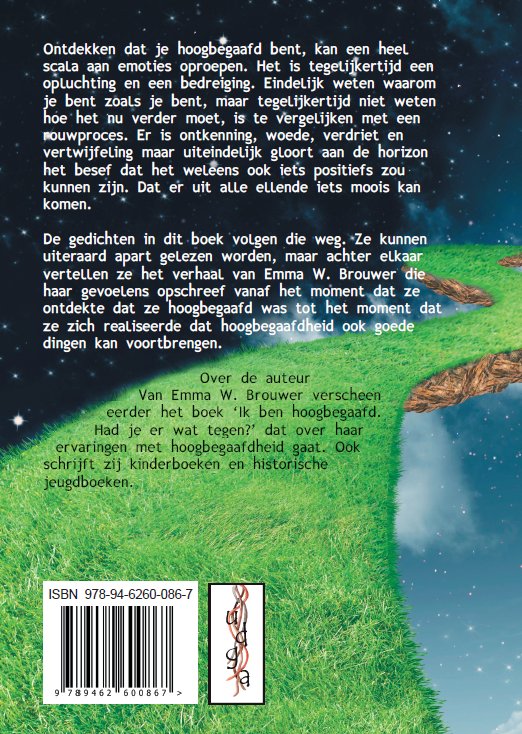 Achterkant van Een mesostichon is een gedicht