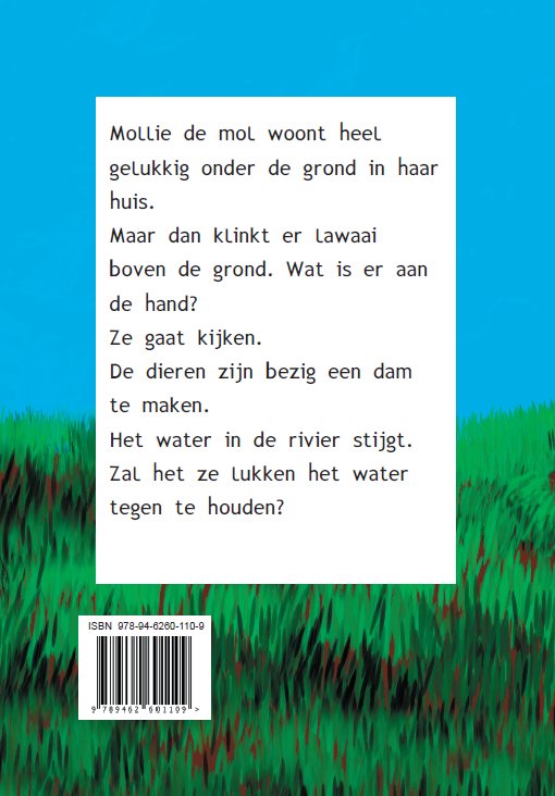 Achterkant van Mollie en de rivier met het stijgende water