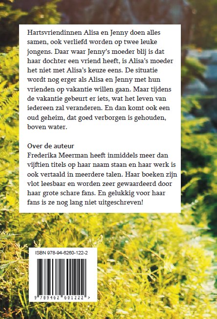 Achterkant van Een oud geheim