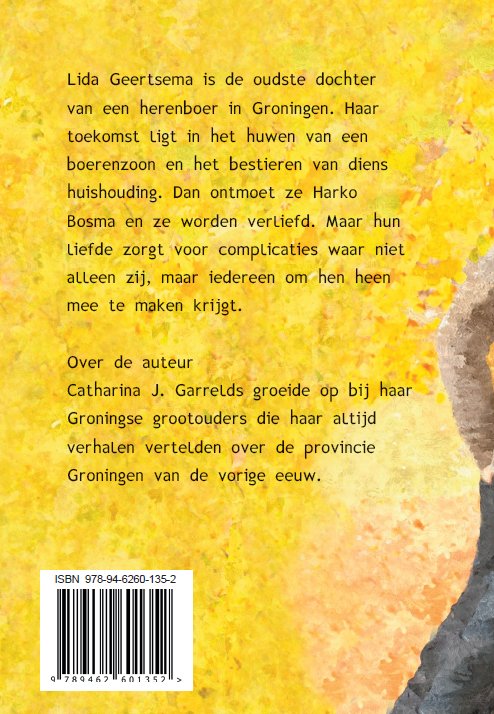 Achterkant van Een zonnestraal in haar leven