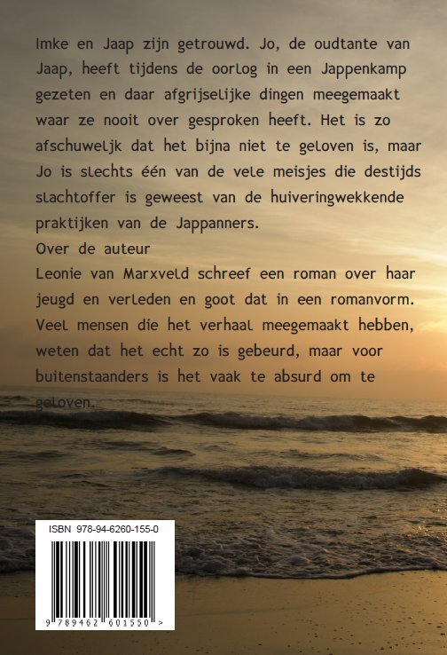 Achterkant van Schimmen uit het verleden