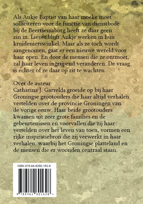 Achterkant van De dienstbode en de jonker