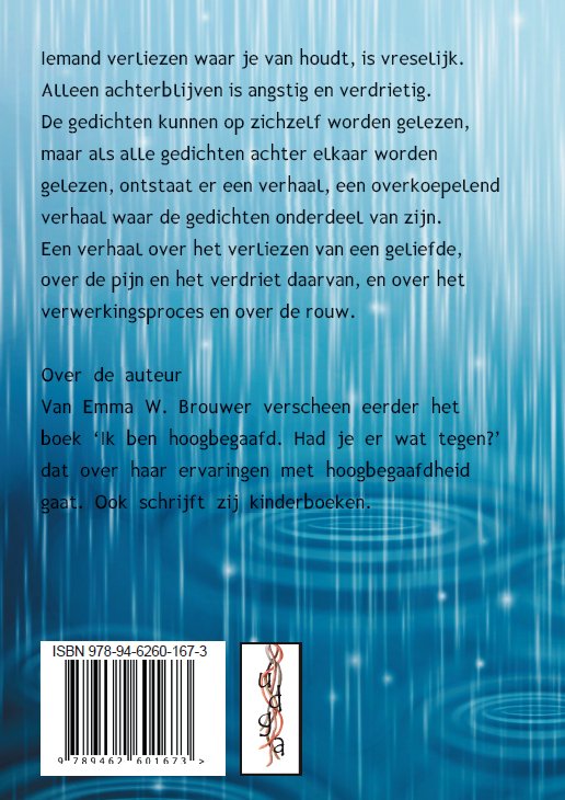 Achterkant van Huil niet