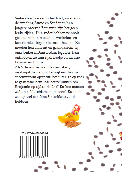 Achterkant van Het geheim van Sinterklaas