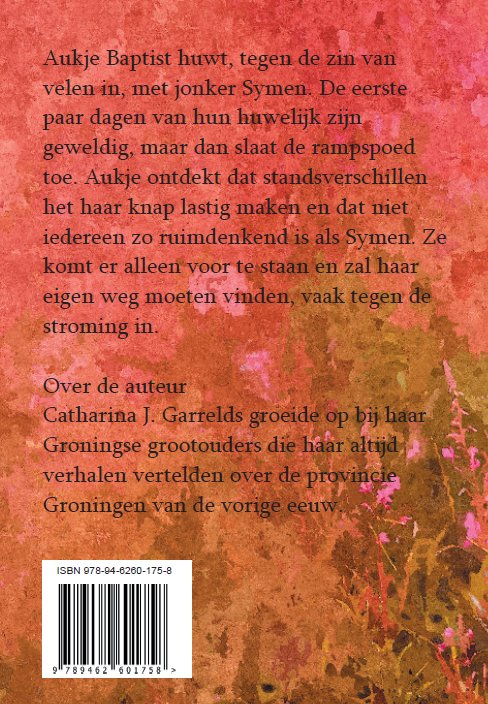 Achterkant van Het huisje aan de dijk