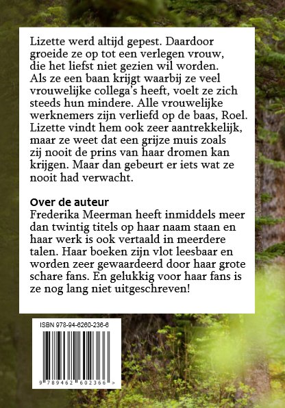 Achterkant van Lizette's reis
