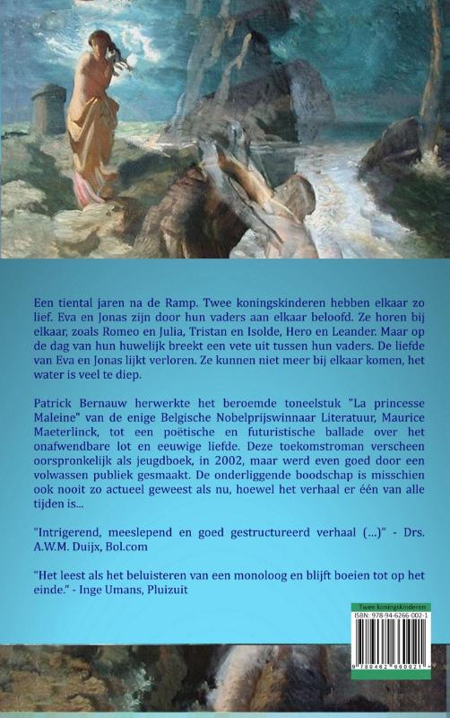 Achterkant van Twee koningskinderen