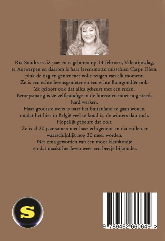 Achterkant van Dagboek van een hotel