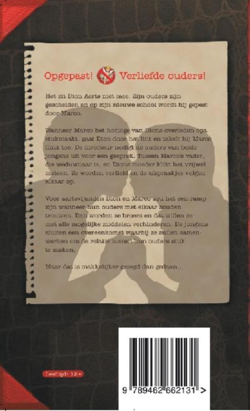 Achterkant van Het Cupidocomplot