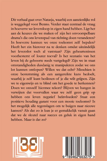 Achterkant van Veilig oversteken